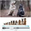 SmartDog 190 elektromos tréning nyakörv