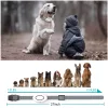 SmartDog 190 elektromos tréning nyakörv