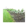 Sicra EF001 villanypásztor duo szett, 0.25 Joule KICSI 1+2év garanciával