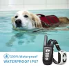 SmartDog PS2 komfort elektromos tréningnyakörv 500m