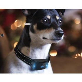   SmartDog T700 tölthető plusz elektromos komfort tréning nyakörv 